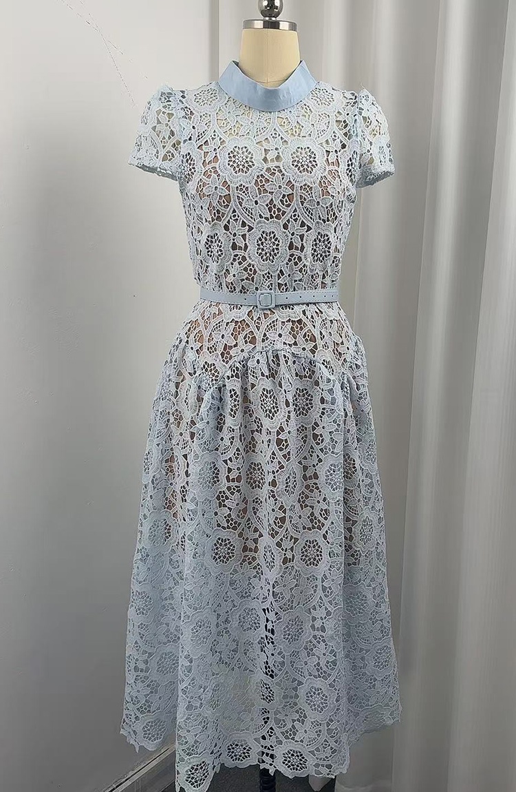 France style pinched waist elegant lace dress