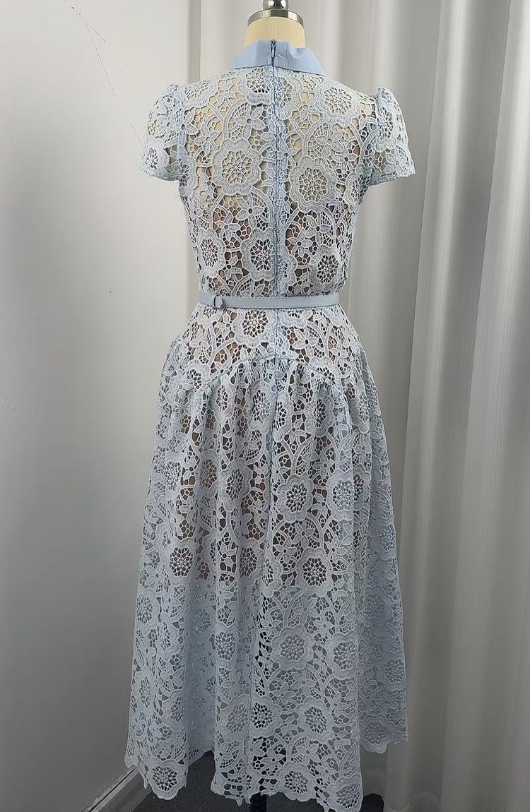 France style pinched waist elegant lace dress
