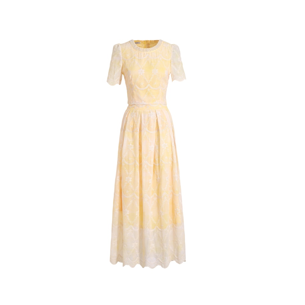 Slim embroidery light luxury colors dress a set