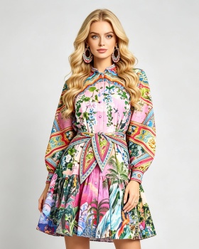 High waist shirt collar temperament printing dress