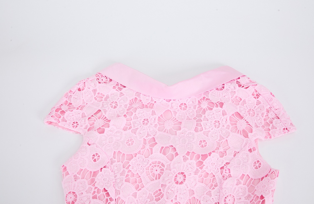 Pinched waist generous lapel lace simple dress