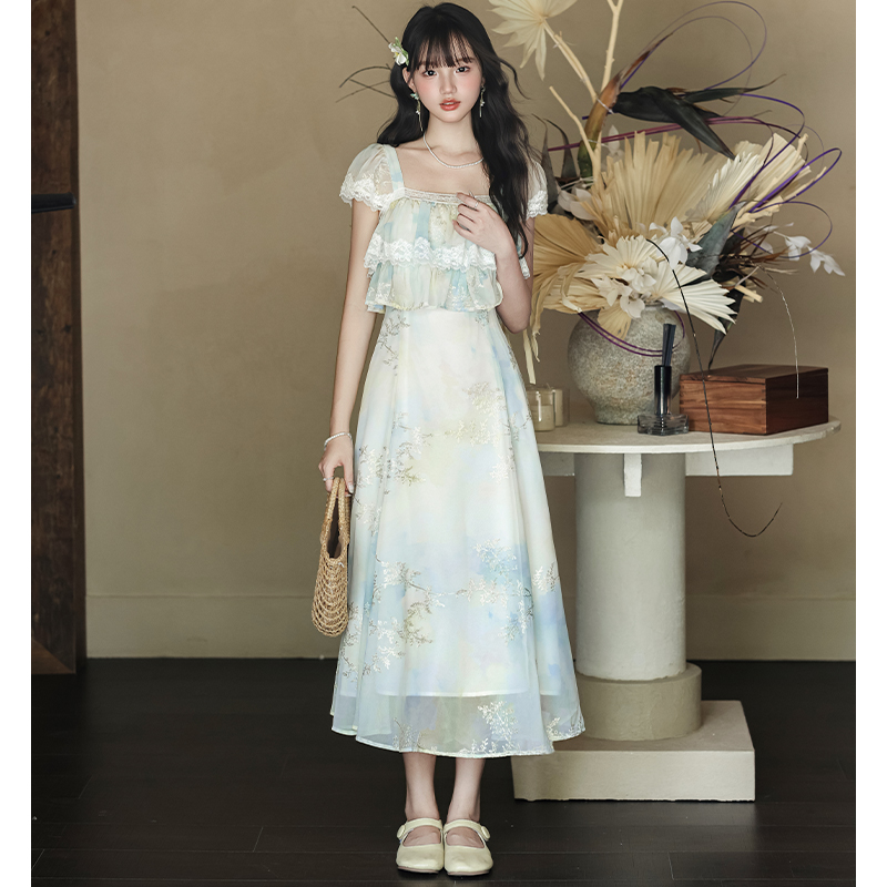 Sweet tender embroidery slim France style printing dress