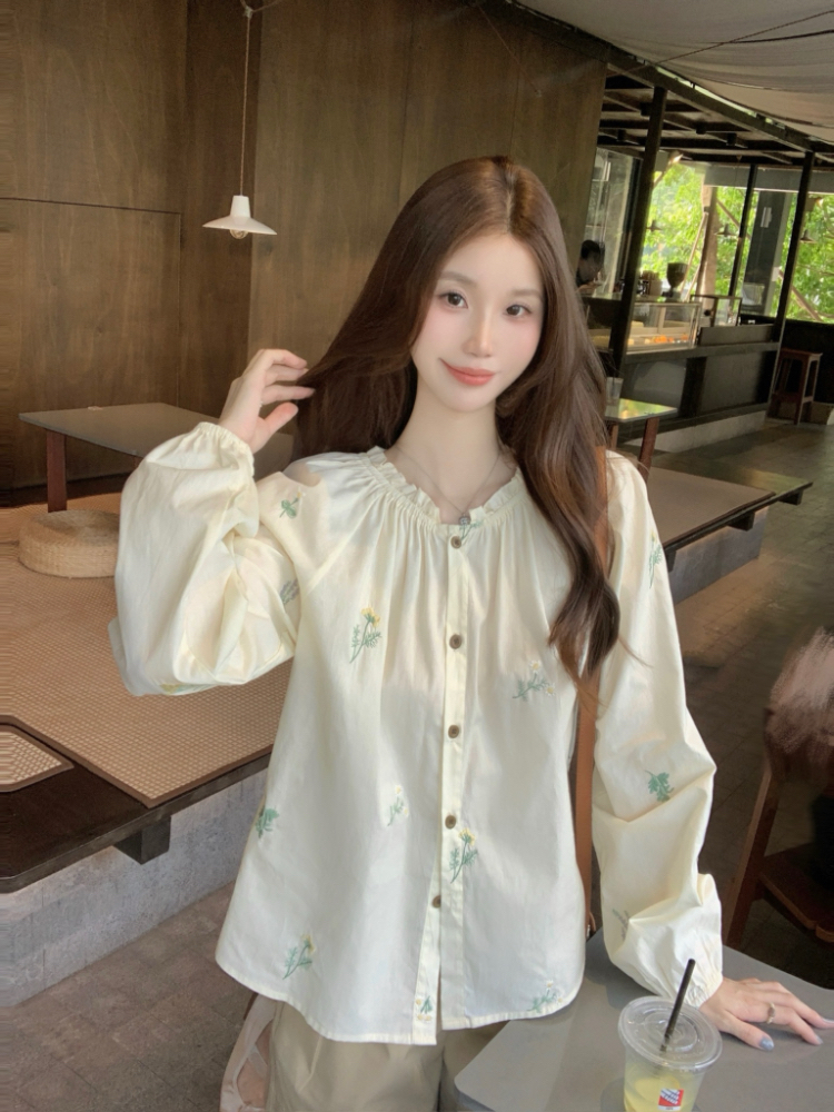 Korean style loose shirt summer tops for women