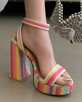 Summer thick crust high-heeled sandals thick open toe platform