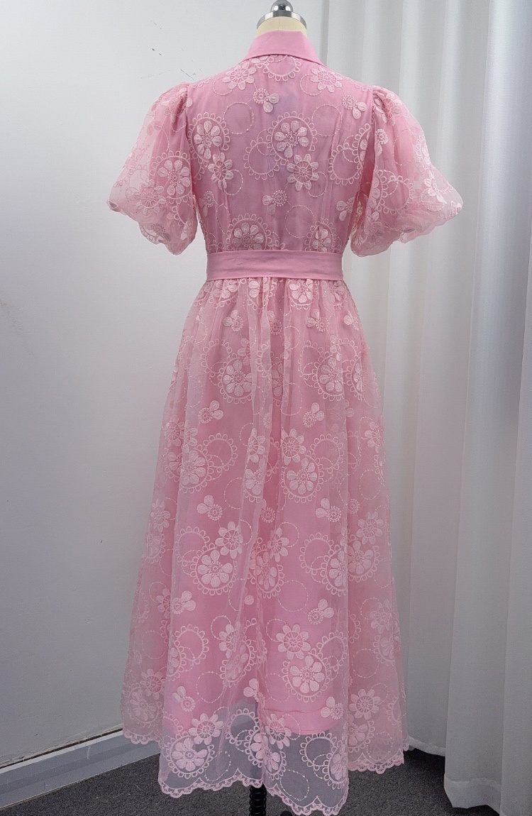 Frenum lantern sleeve A-line slim lace dress