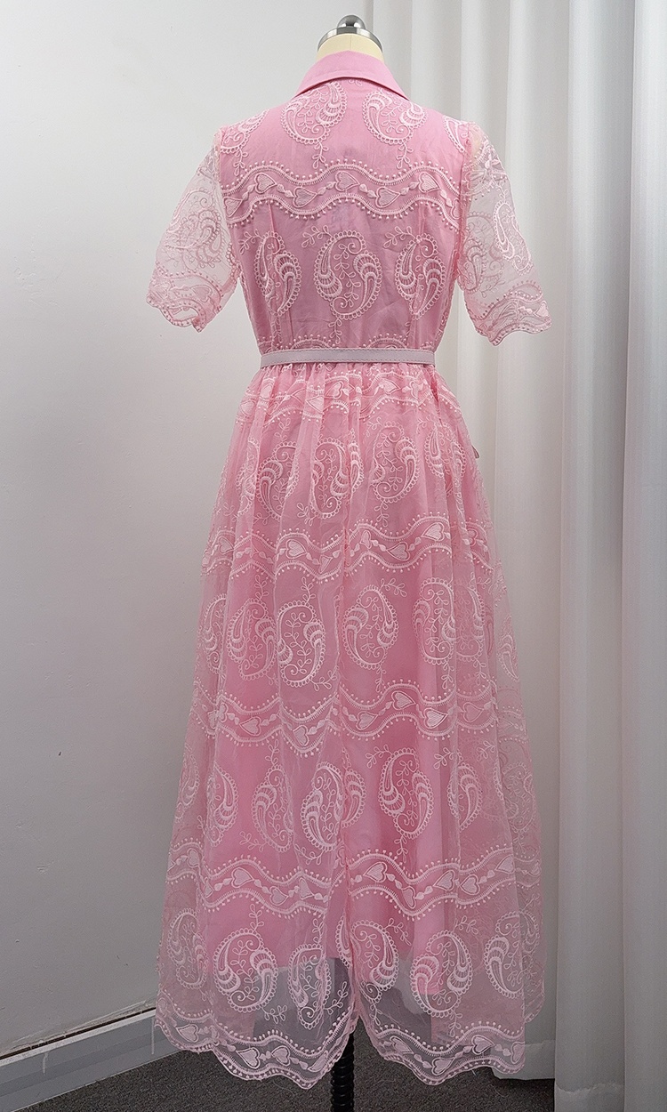 Pinched waist temperament short sleeve lapel lace dress