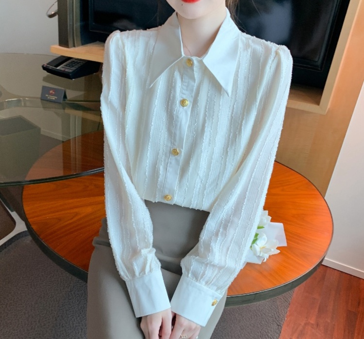Profession all-match chiffon shirt commuting autumn shirts