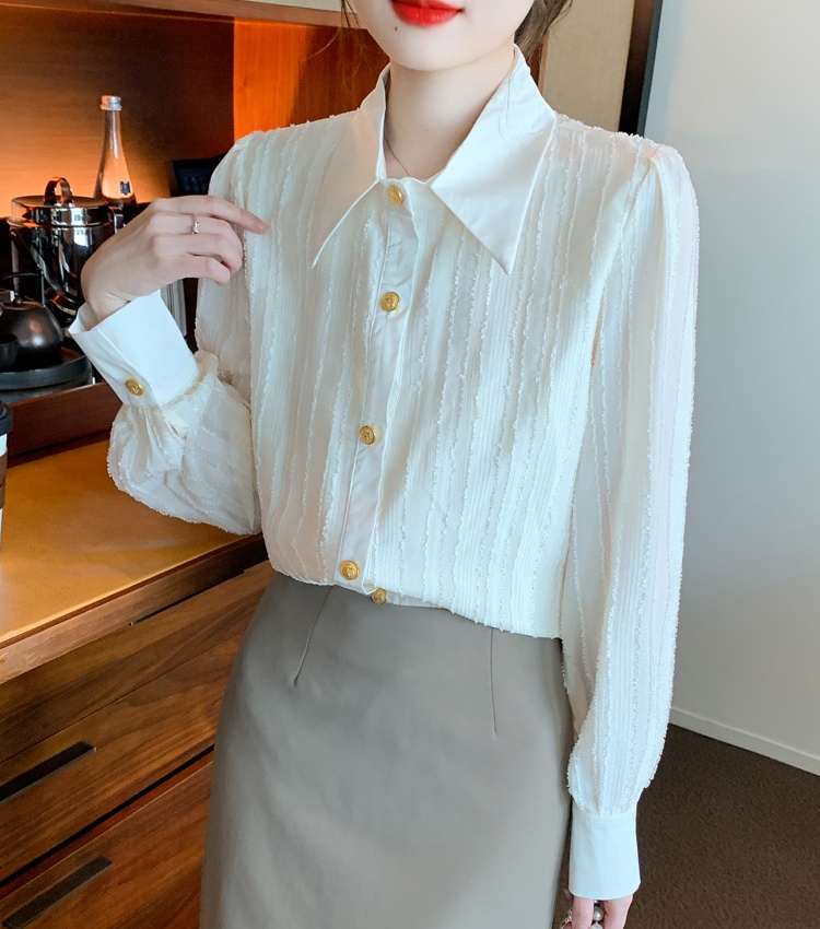 Profession all-match chiffon shirt commuting autumn shirts