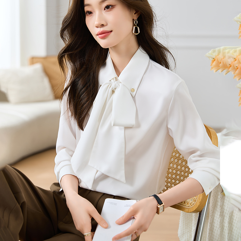 Long sleeve streamer chiffon bow shirt for women