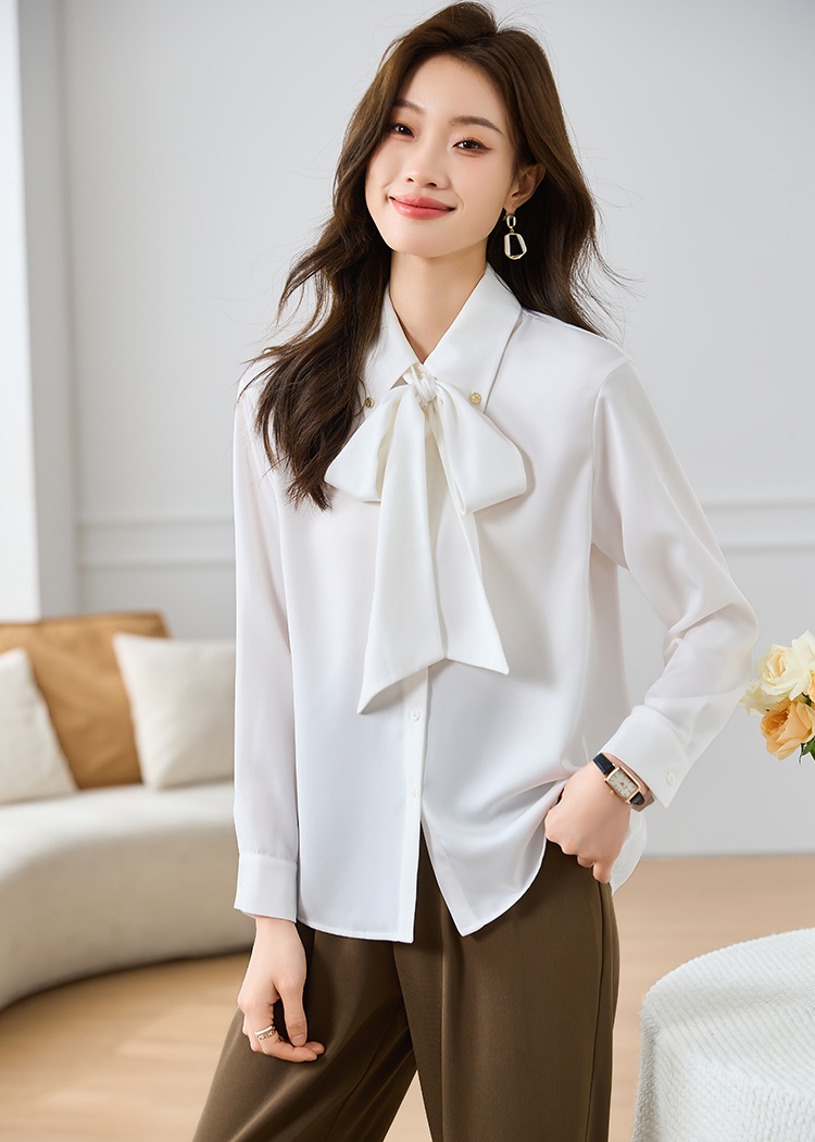 Long sleeve streamer chiffon bow shirt for women