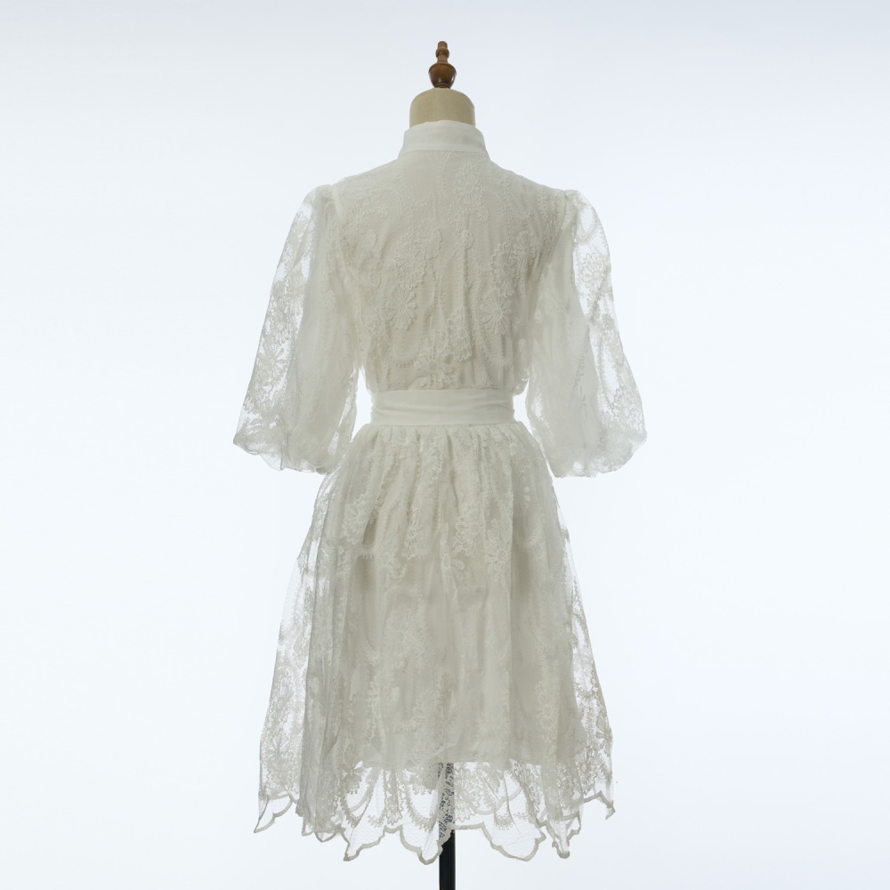 Cstand collar lace T-back big skirt ladies dress