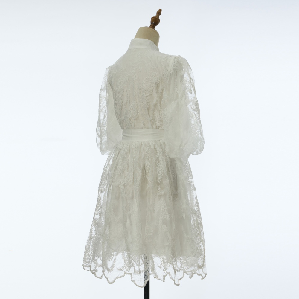 Cstand collar lace T-back big skirt ladies dress