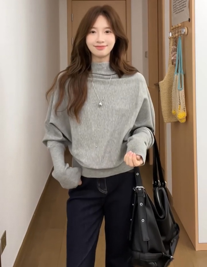 Bat sleeve loose gray tops pullover autumn sweater for women