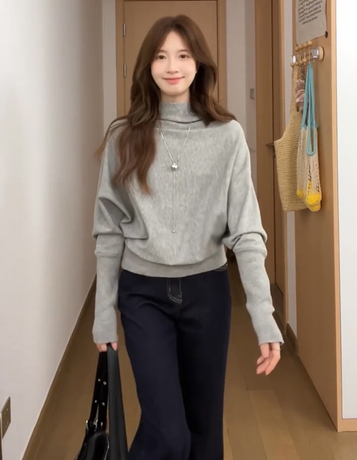 Bat sleeve loose gray tops pullover autumn sweater for women