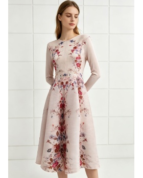 Tender elasticity dress printing long dress for women