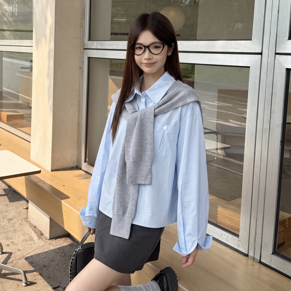 Korean style long sleeve shirt thin tops 2pcs set for women