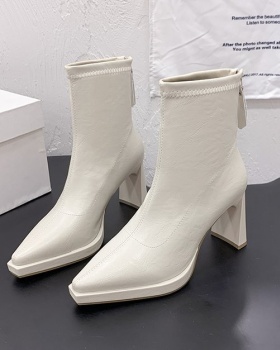 France style fashion winter martin boots thick lady platform