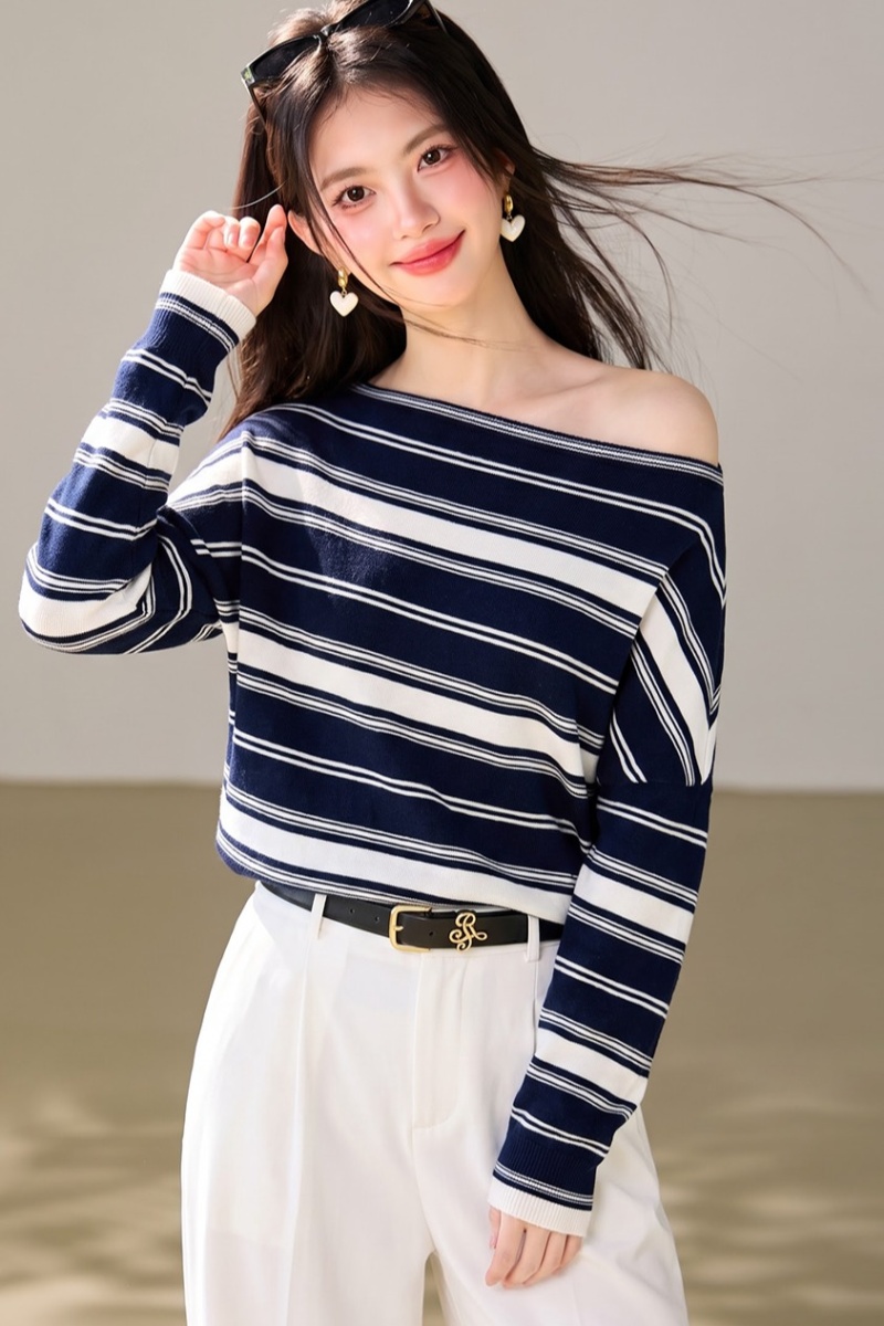 Long sleeve blue stripe niche unique tops for women