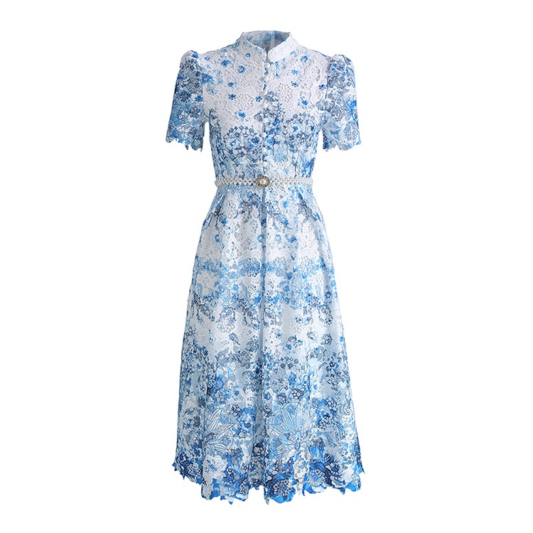 Fashion long hollow short sleeve lace slim dress