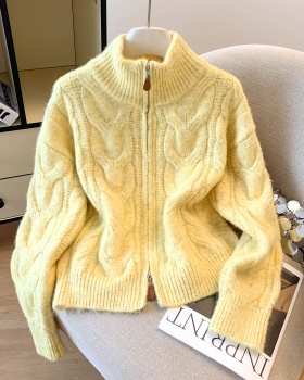 Knitted thick coat wool high collar sweater for women